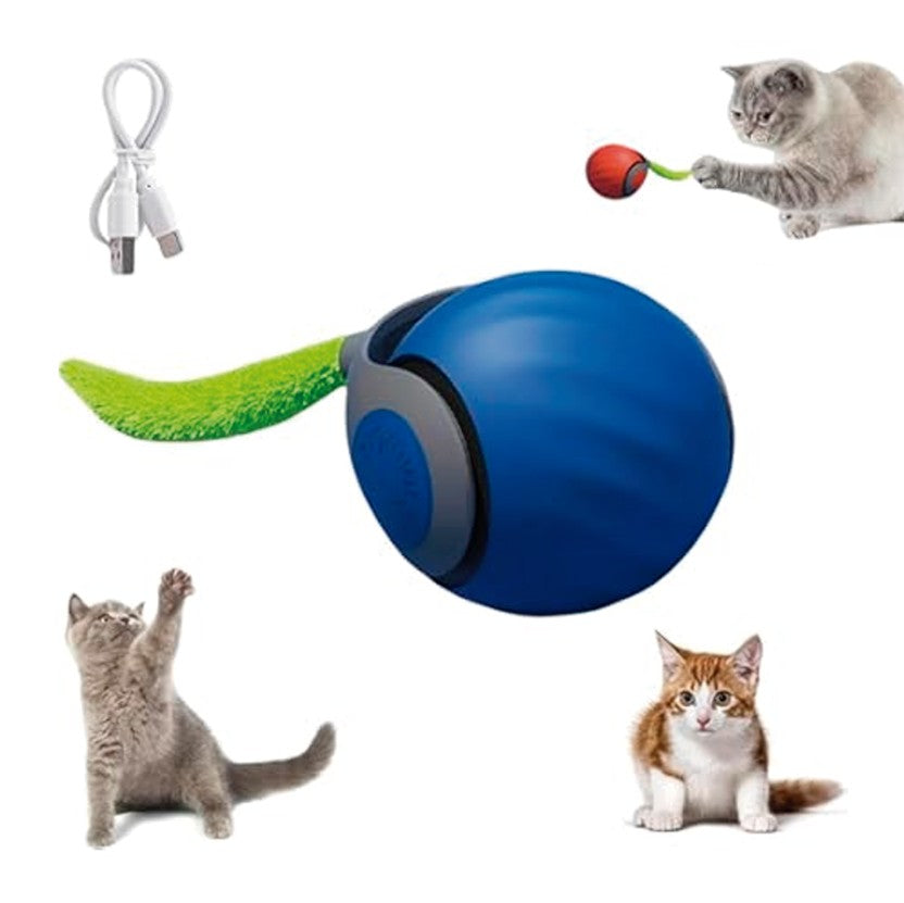 PELOTA INTELIGENTE PARA TU GATO - Centrika Market