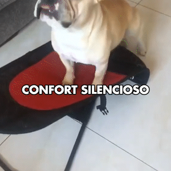 NUEVA SILLA MECEDORA PARA MASCOTAS - Centrika Market