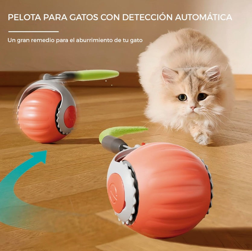 PELOTA INTELIGENTE PARA TU GATO - Centrika Market