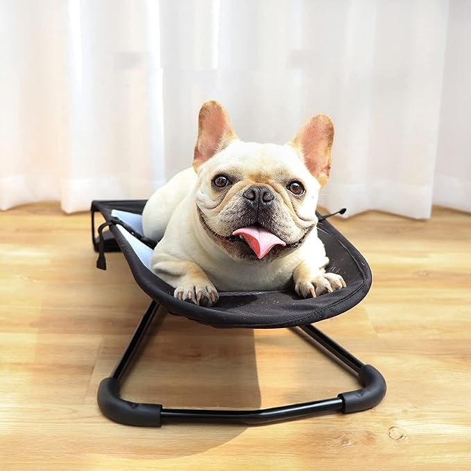NUEVA SILLA MECEDORA PARA MASCOTAS - Centrika Market